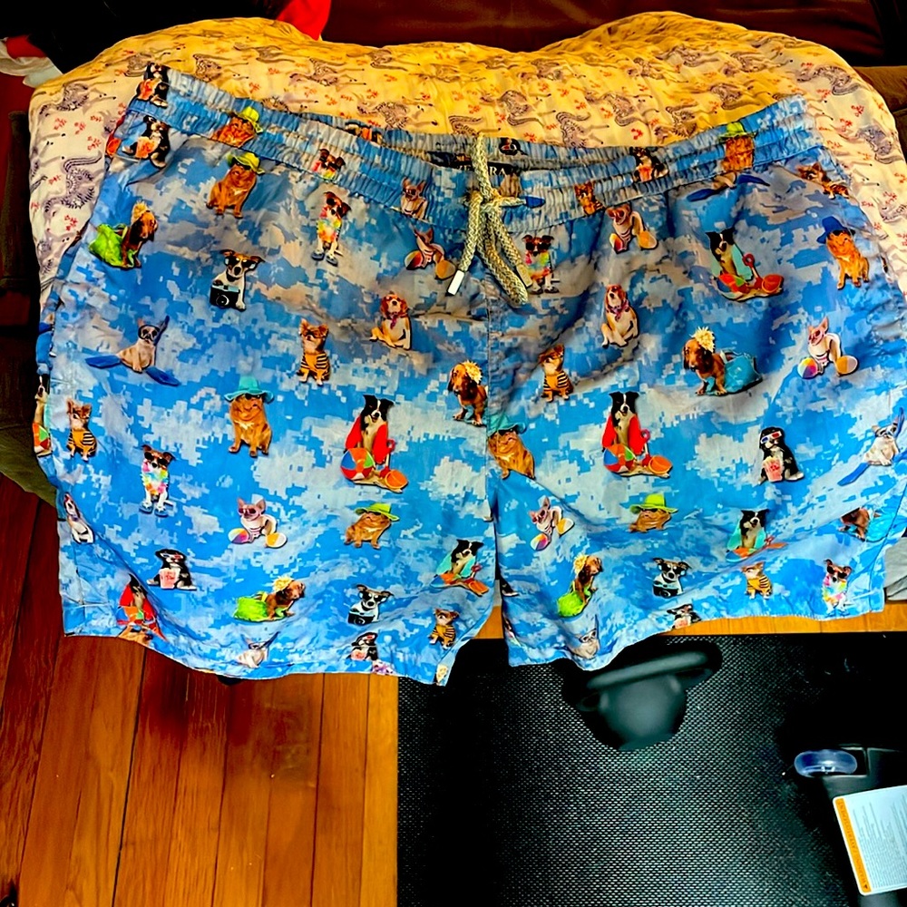 Super cute ZEYBRA swim trunks. Made in ITALY!